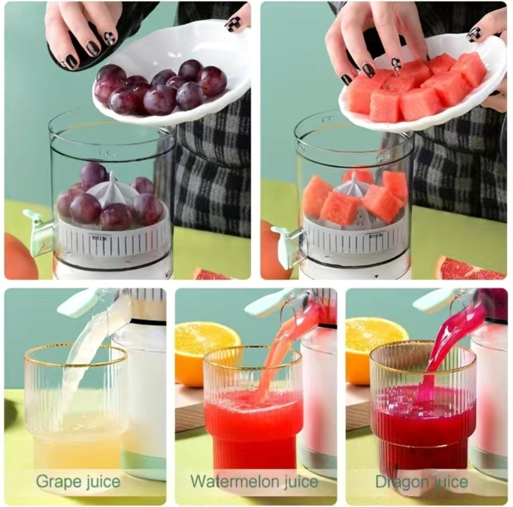 Portable Rechargeable Juicer